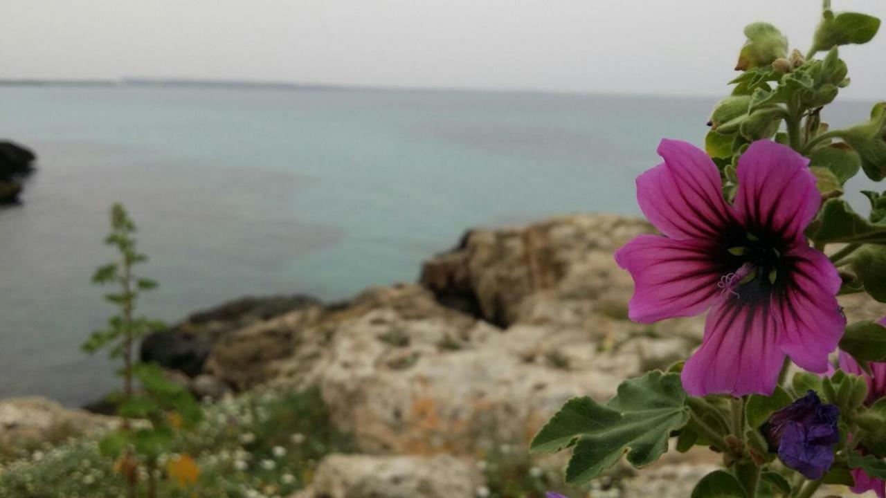 Willa 252 Via Udine Gallipoli Zewnętrze zdjęcie